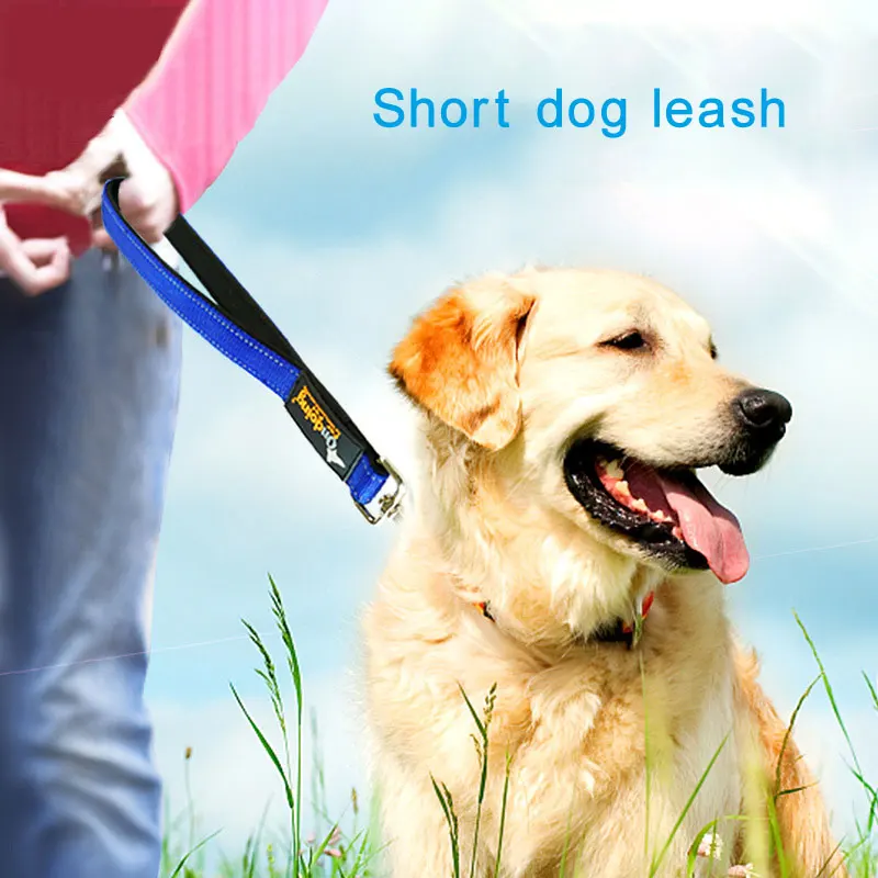 Короткий поводок для собак шириной 1 дюйм с нейлоновой подкладкой 12 дюймовый 24