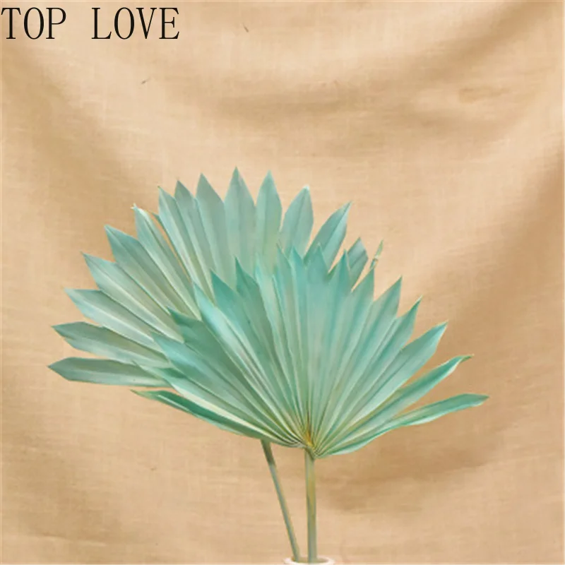 Сушеный цветок веер для пальмы листья растения Подсолнух украшение дома