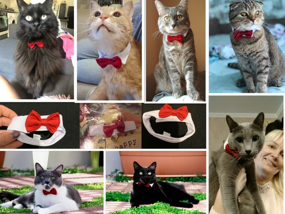 Собака Щенок Котенок собаки кошки регулируемый галстук-бабочка ошейник "галстук-бабочка" с украшением в виде банта, с бантом, праздничная Свадебная жизнь украшения Аксессуары