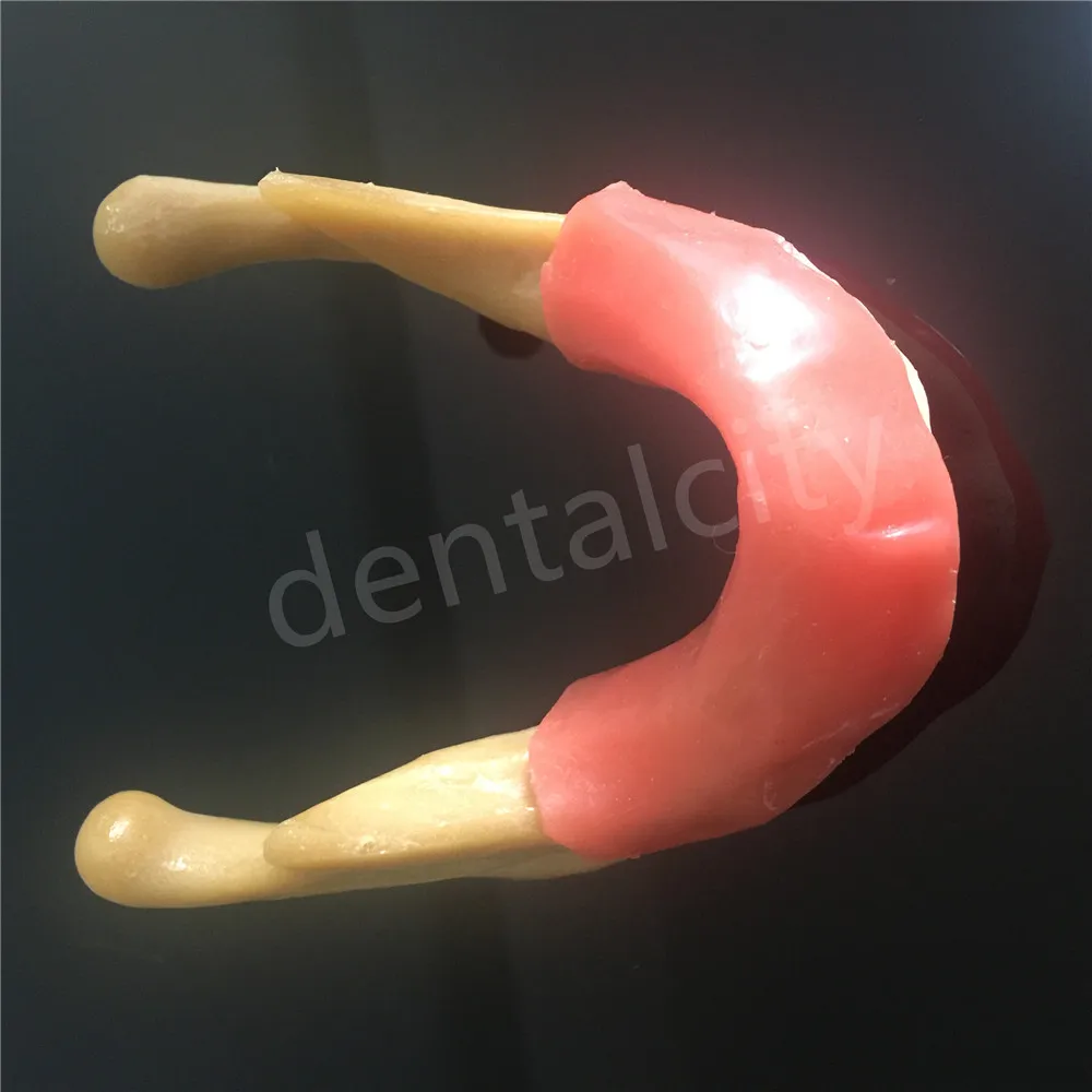 Стоматологическая силиконовая нижняя челюсть с мягкой тканью для моделирования