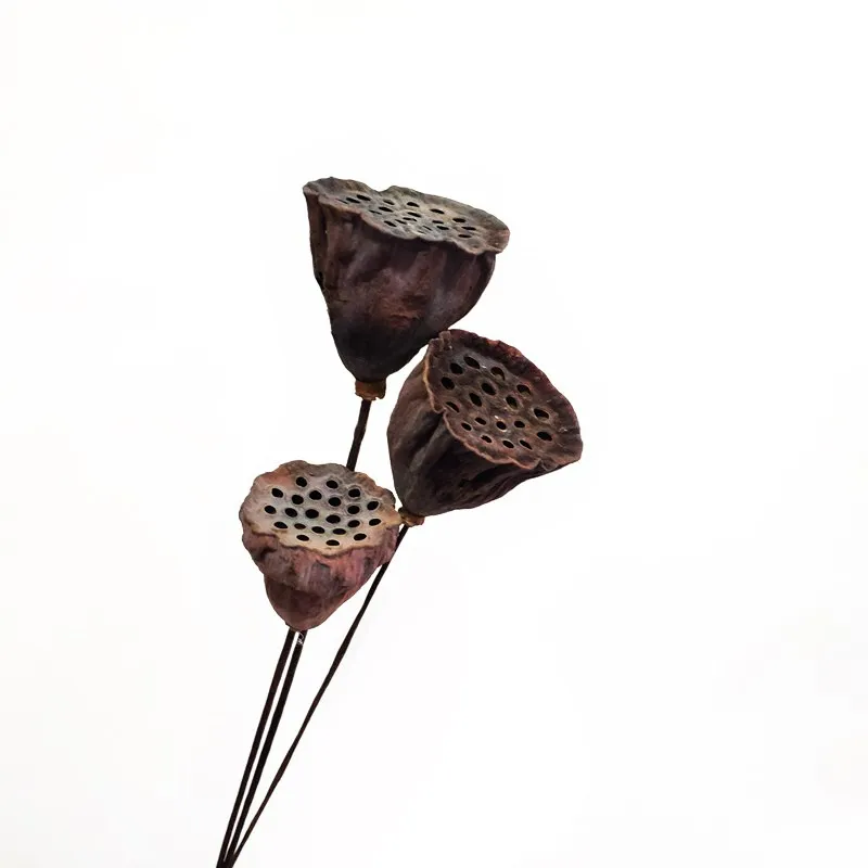 

Natural Dried Flowers Lotus Root Florists Home Decor Crafts Christmas New Year Lotus Pod With Stem Wedding Decor