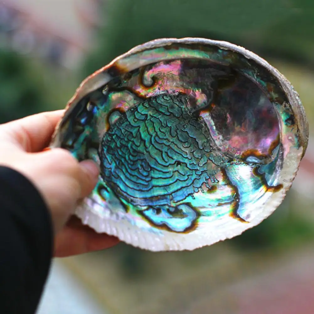 Blue Abalone Shell Smudging Bowl Seashell Incense Burner Easy Clean Aromatherapy Furnace Great Gift Home Decorations 30E | Дом и сад