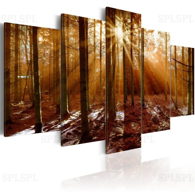 

5 Pieces Natural Landscape Poster Trees Sunshine Lawn Prints Forest Canvas Painting Modular Pictures Wall Art Home Decor