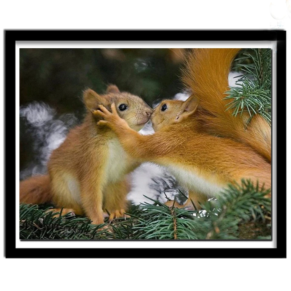 

Ctue love Diamond picture Full Square Round Animal Kiss Diy Diamond Painting Squirrel Pine Tree Branches Mosaic Stickers