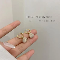 high sense opal earrings 2021 new earrings unique light luxury exquisite temperament earrings women jewelry gold earrings