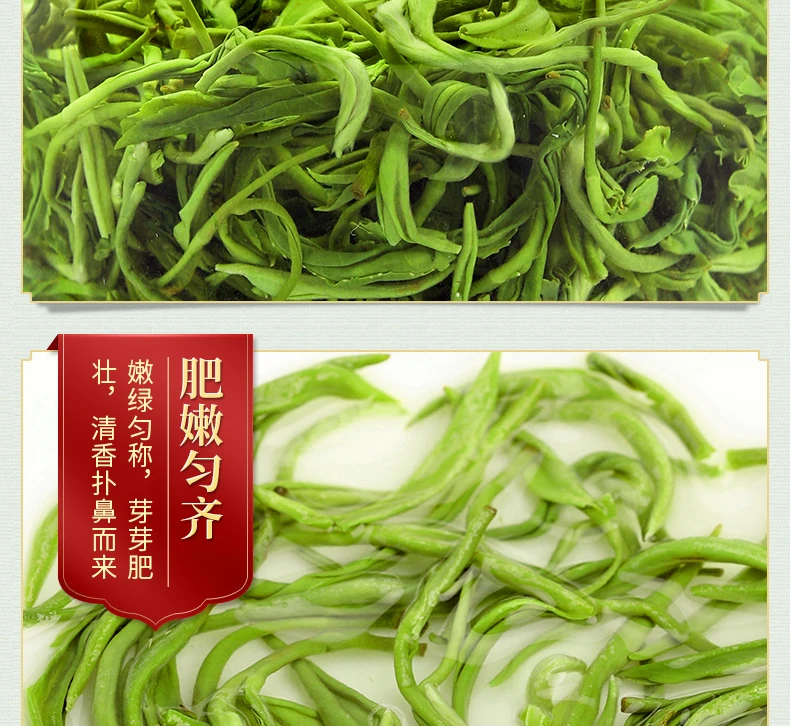 

Sunshine Green Tea 2020 New Tea Premium Tea Strong Flavor Authentic Mountain Cloud Fog Green Tea Spring Tea Loose Pack 500G