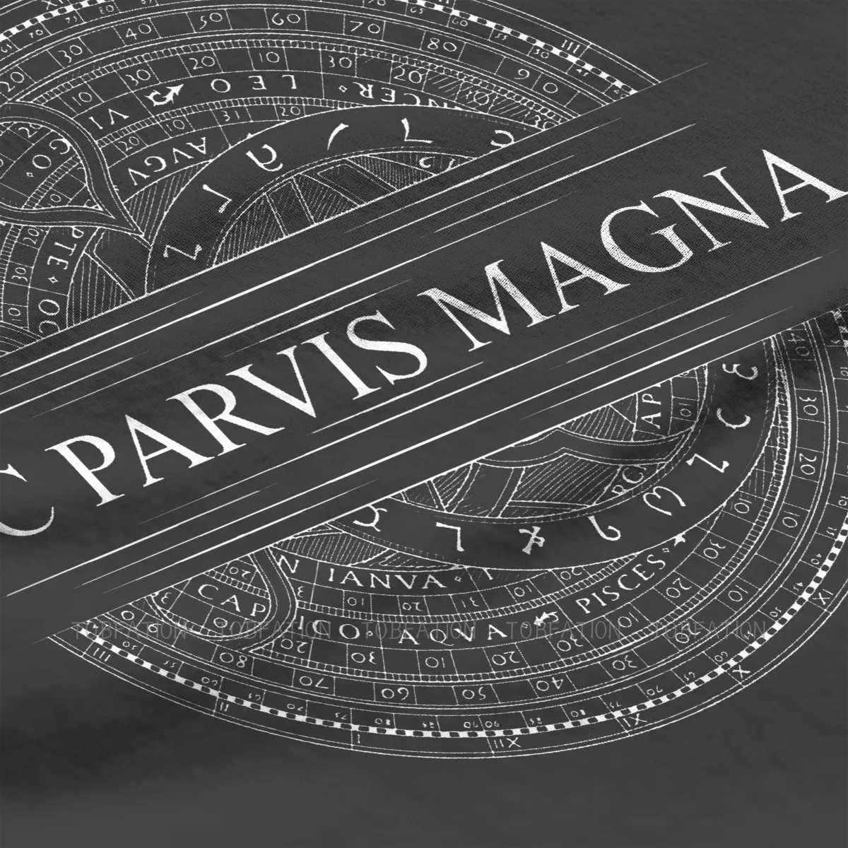 Хипстерские футболки Sic Parvis Magna мужские в стиле Харадзюку из чистого хлопка с