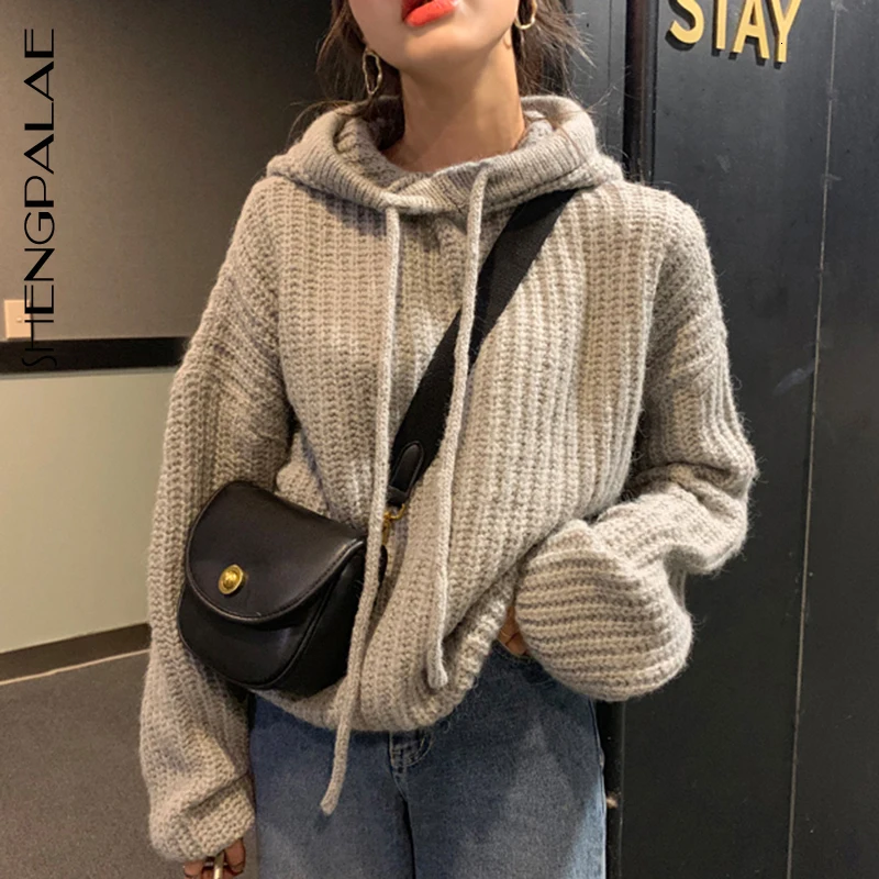 SHENGPALAE 2020 осень зима с капюшоном длинный рукав рыцарский пуловер сплошной цвет