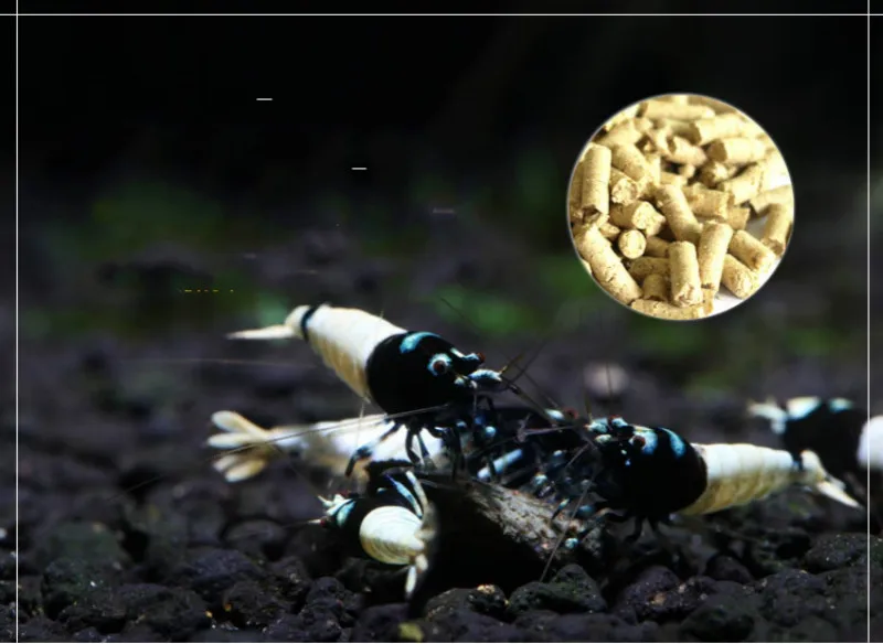 40 г аквариум для креветок Natto еды полное изысканность Bacillus Subtilis маленькая улитка