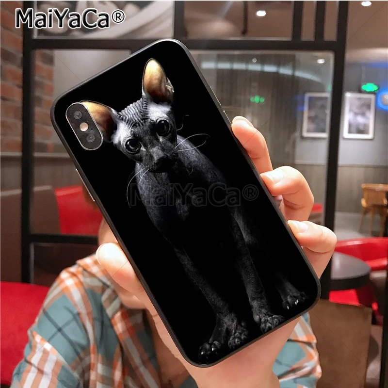 Уникальный силиконовый чехол sphynx cat для iphone 11 12 Pro 6S 6plus 7 7plus 8 8plus X 5 5S Чехол 12mini |