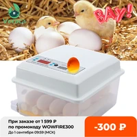 220v eggs incubator brooder bird quail chick hatchery incubator poultry hatcher turner automatic farm incubation tools euus