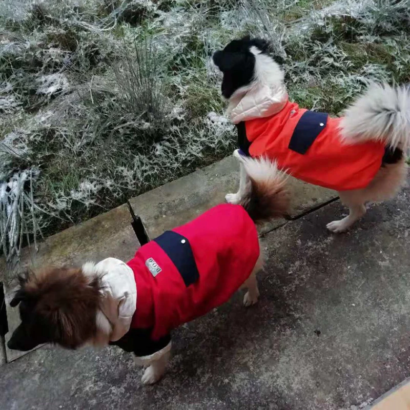 Зимняя одежда для собак водонепроницаемая теплая куртка с капюшоном маленьких и