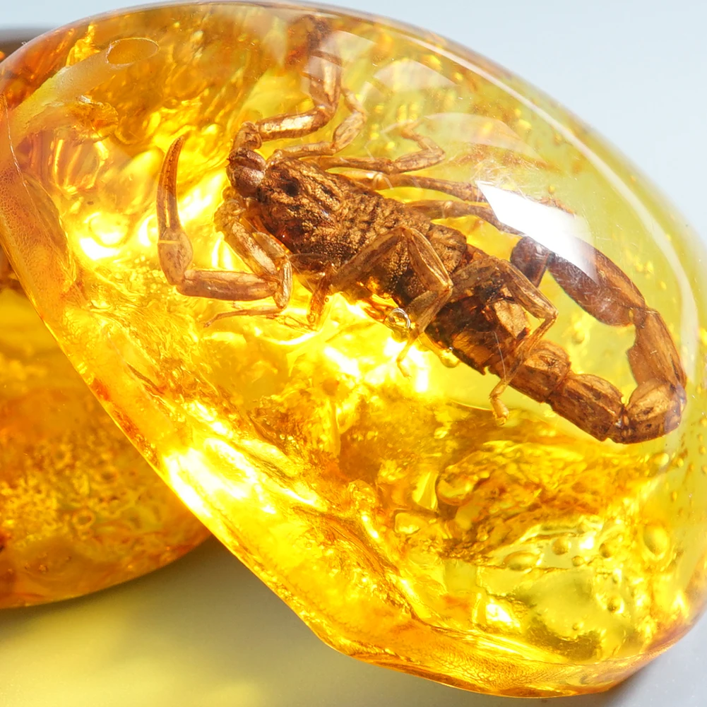 Натуральный Янтарный Скорпион образец насекомых камень кулон ожерелье
