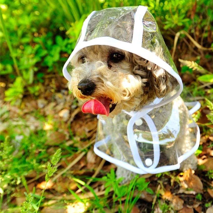 

Pet Jacket for Rain Dog Transparent Raincoat Adjuastable Waterproof Coat for Small Medium Large Dogs Hooded Windproof Design