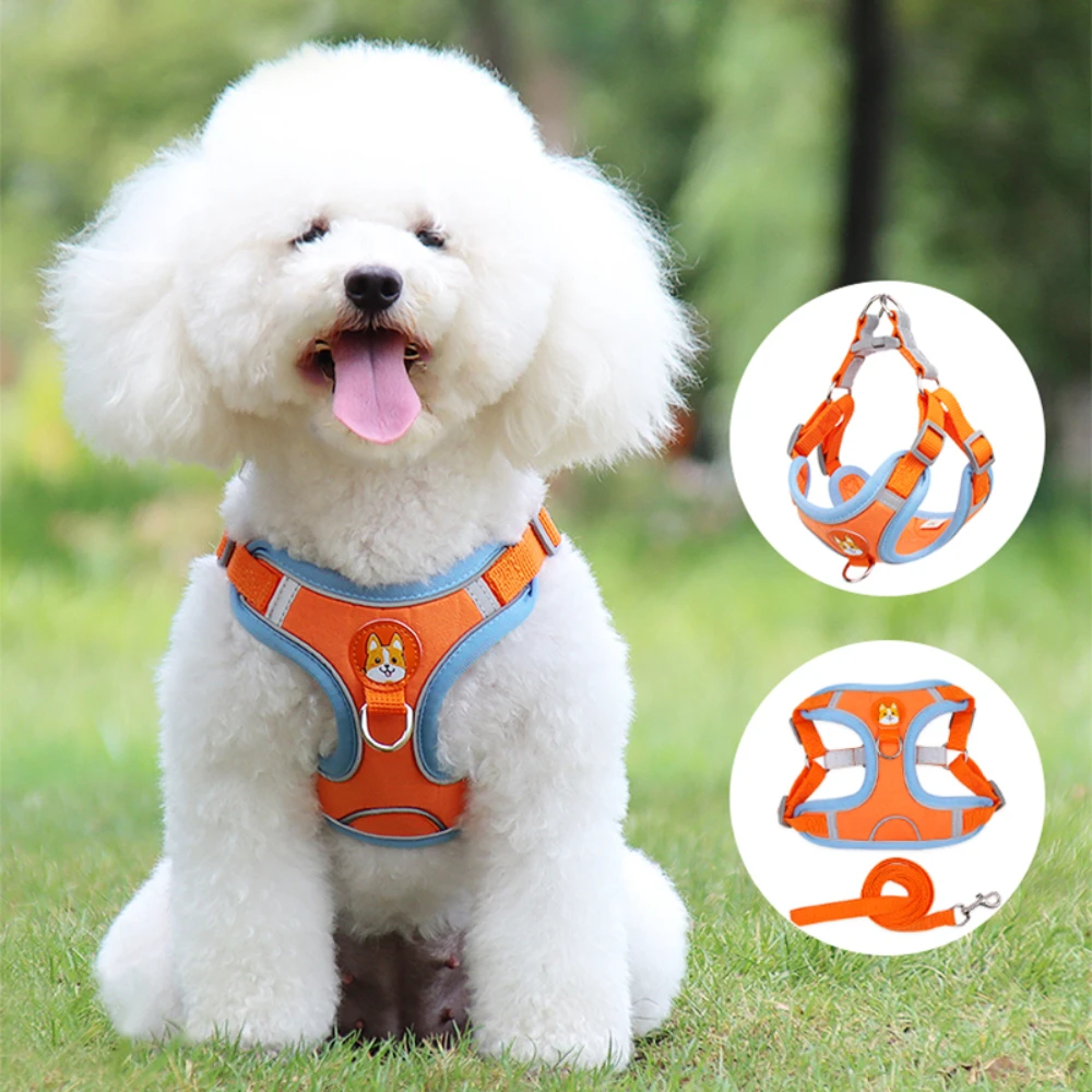 

Adjustable jerk-free harness for dogs and cats, Small kitten collar, breathable mesh vest, harness leash, Chihuahua, Pug, pet su