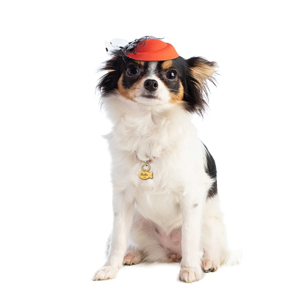 

Personalized Pet ID Name Phone for Cat Puppy Dog Collar Tag Pendant Engraved Dog ID Tag Keychain Fish Keyring Pet Accessories