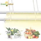 Фитолампа светодиодсветодиодный, полного спектра, с таймером и полным спектром