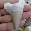 Изображение товара 1