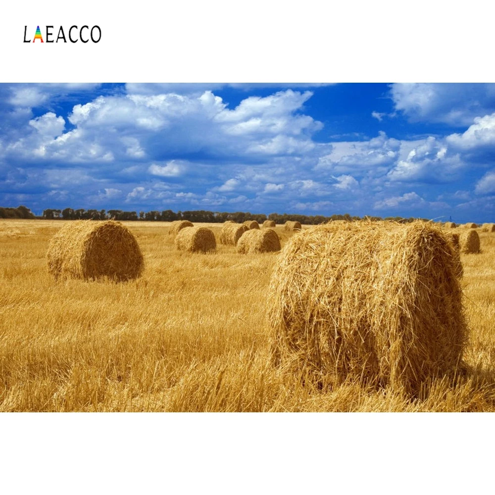 

Laeacco фоны для фотосъемки с изображением осенней фермы пейзажа на заказ виниловые фоны для фотосъемки реквизит для фотостудии