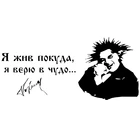 Наклейки для автомобиля, 11 см * 24 см