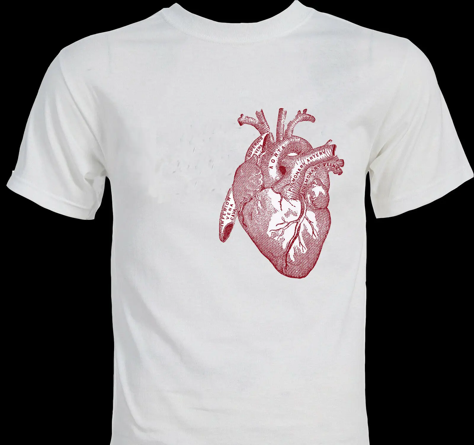 И вырезом в форме сердца на анатомия анатомический иллюстрации Рисование