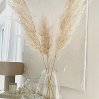 60cm natural pampas grass decor large real dried reed flowers bouquet elegant home wedding venue layout decoration gifts
