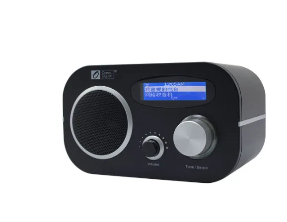 WiFi + FM UPnP радио океан цифровой WR 80 многоязычное меню Интернет Облачное LCD двойная