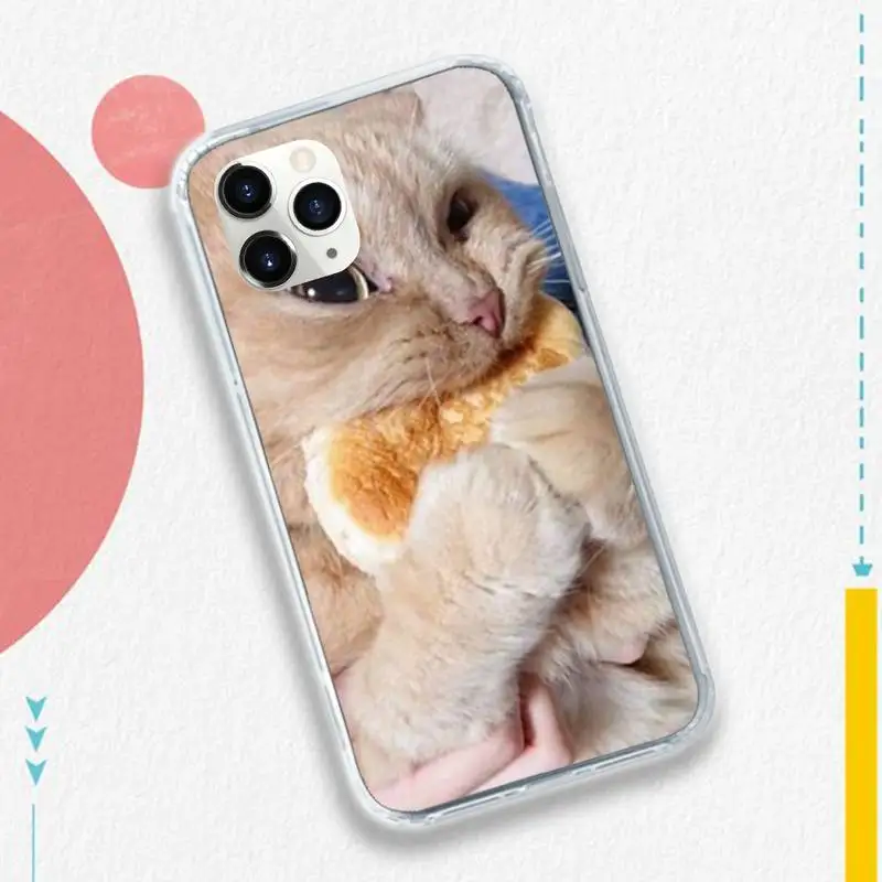 

Funny cute cat Phone Case for iPhone 11 12 pro XS MAX 8 7 6 6S Plus X 5S SE 2020 XR