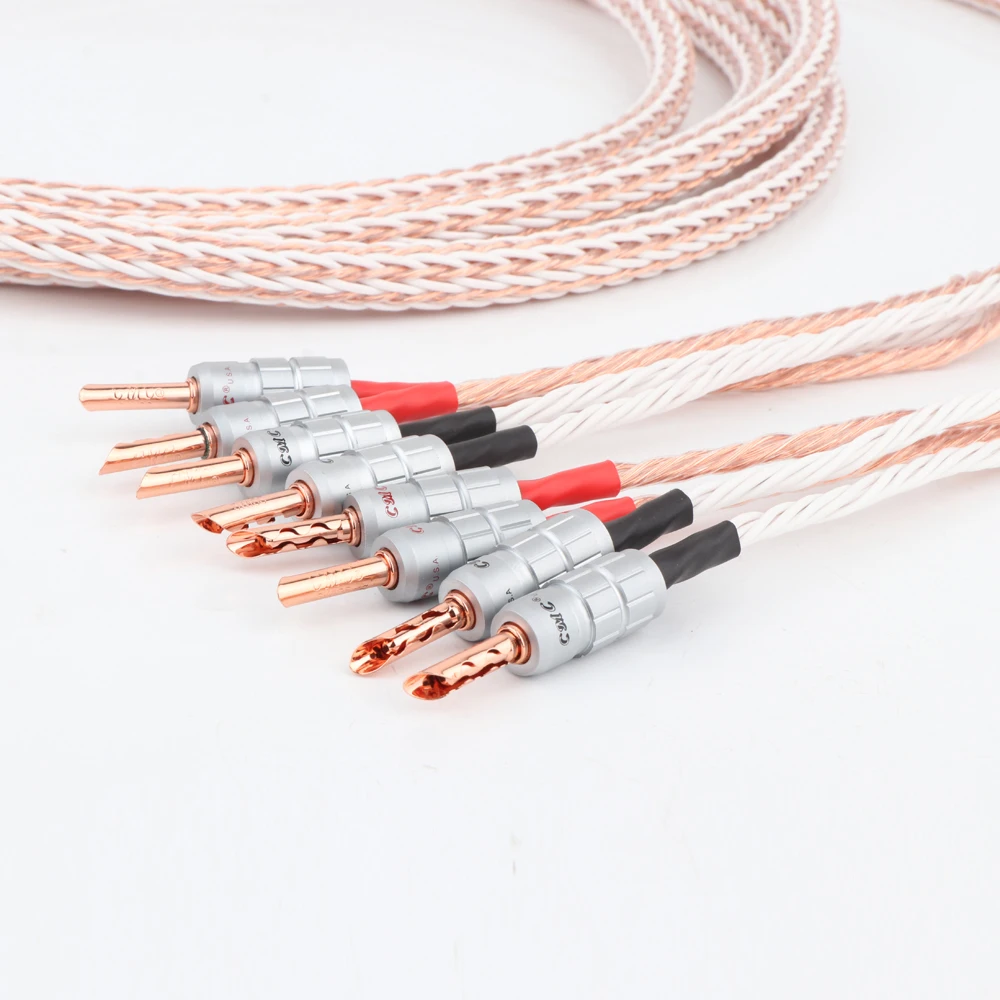 Пара 12TC Hifi акустический кабель с 2 разъемами типа банан для 2/4 разъемов Hi-end OCC