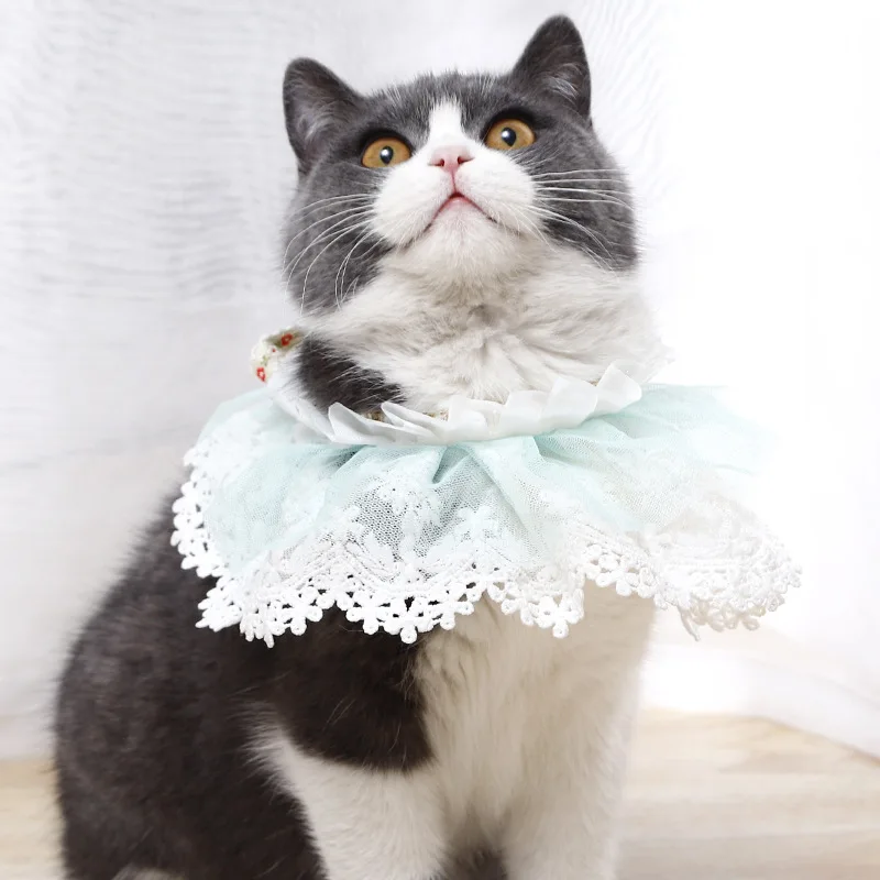 

Lace Cat Collars Leads Detachable Collar Pearl Pink Pet Scarf Products for Cats Name Necklace Decor Things Cute Fake Accessories