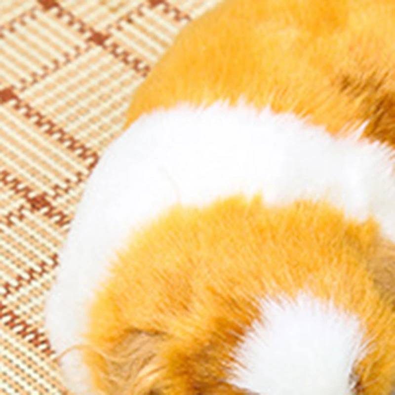 

Kennel Pet Dog Bed Warm Dog House Soft Round Dog Bed Long Plush Puppy Cushion Nest Comfortable Pet Bed Mat