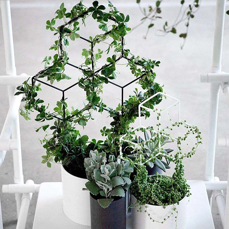 

Garden Metal Trellis, Suitable for DIY Potted Climbing Plant Support, Flowers, Vegetables, Rose Vines, Ivy