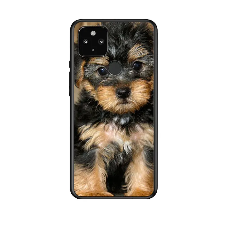 

Terrier Yorkie Dog for Google Pixel 5 Pixel 4a 5G Pixel 4a Pixel 4 Pixel 4 XL Silicone Soft Black Phone Case Cover