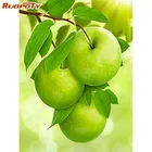 RUOPOTY DIY алмазная живопись фрукты полная Алмазная вышивка Apple вышивка крестиком Мозаика Искусство ручной работы Домашний Декор подарки