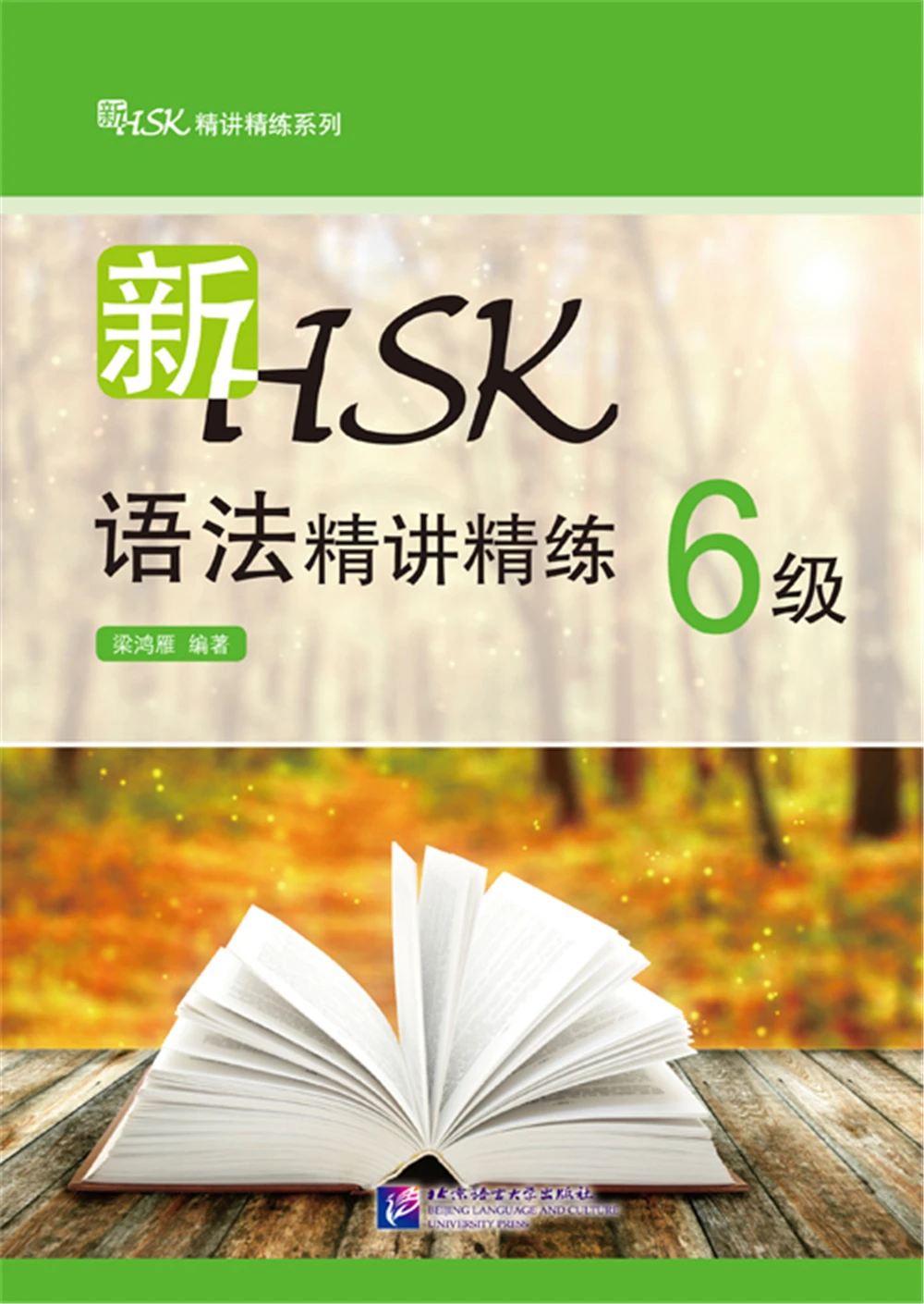 New HSK Grammar Intensive And Concise Level 6