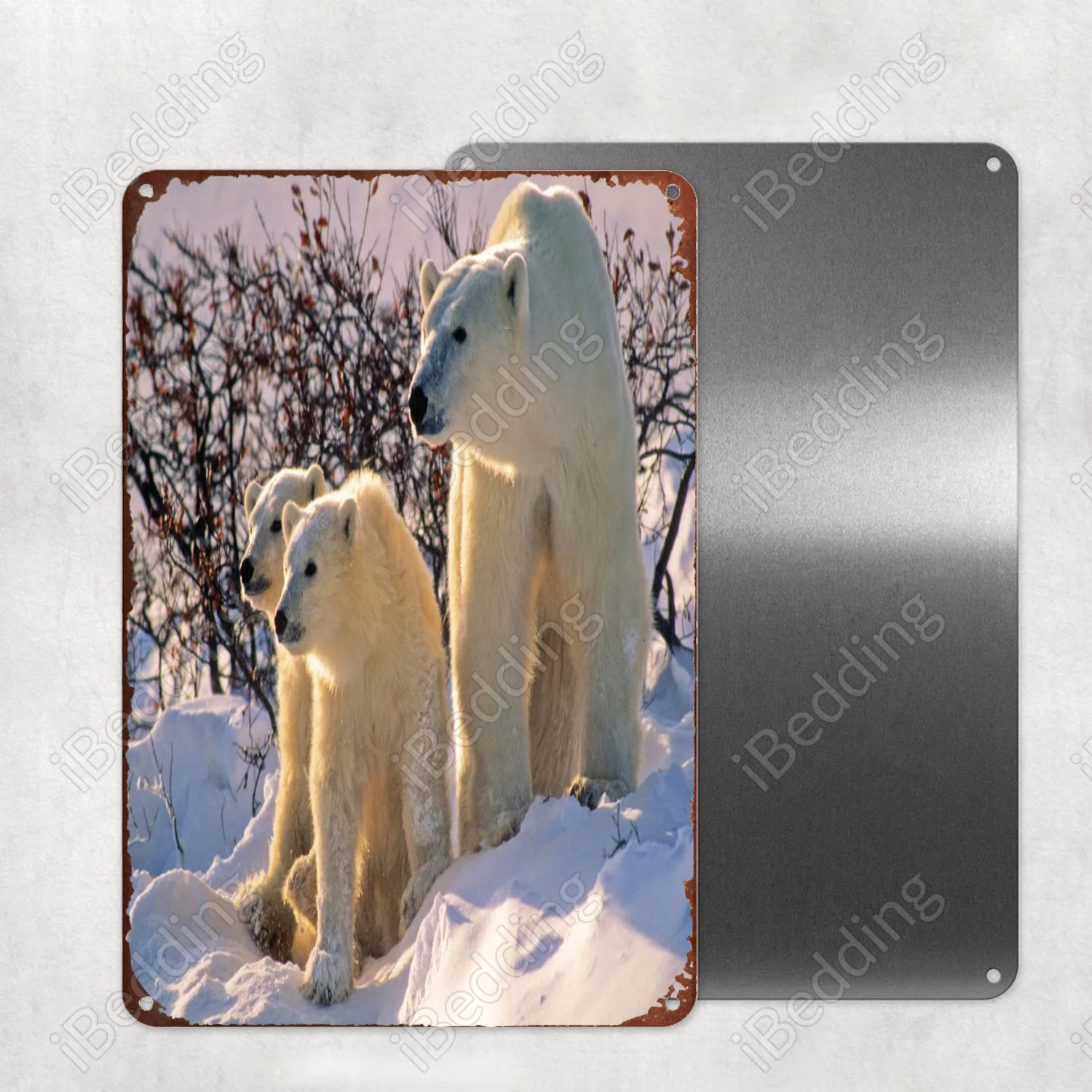 

Медведь, фотография, металлическая фотография, панель, паб, клуб, Настенный декор, железная картина, декоративная пластина 20x30 см