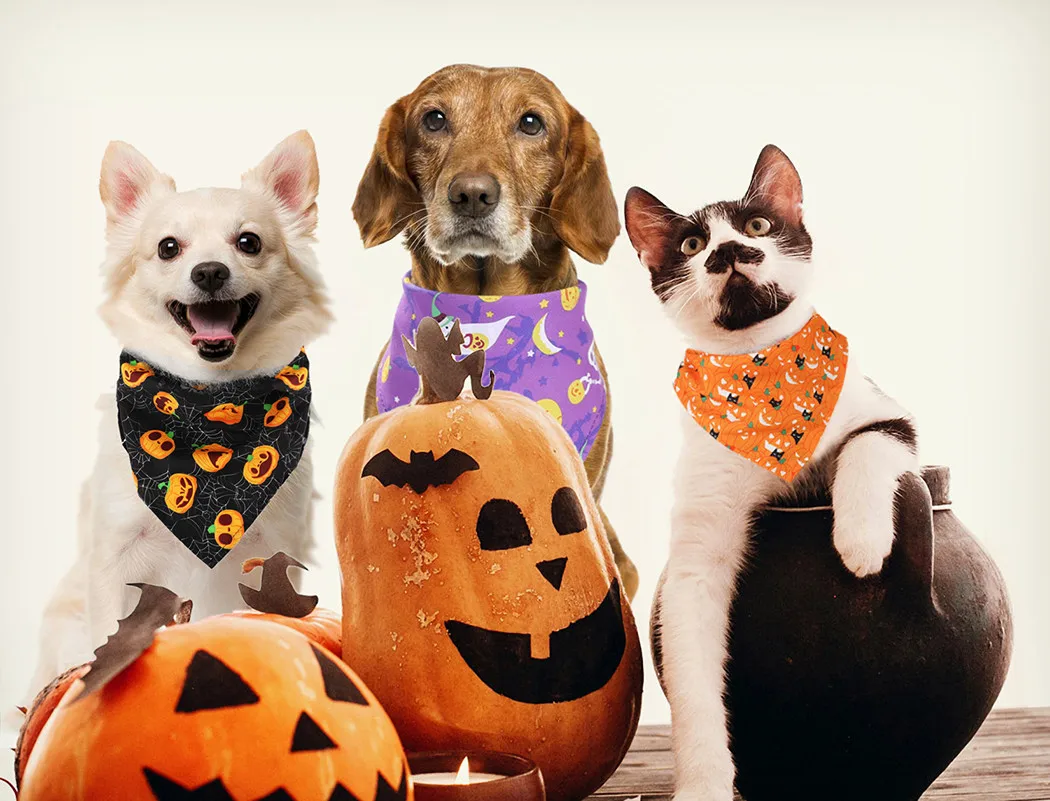 Забавные треугольные платочки для собак 3 шт. шарф питомца в форме тыквы бандана