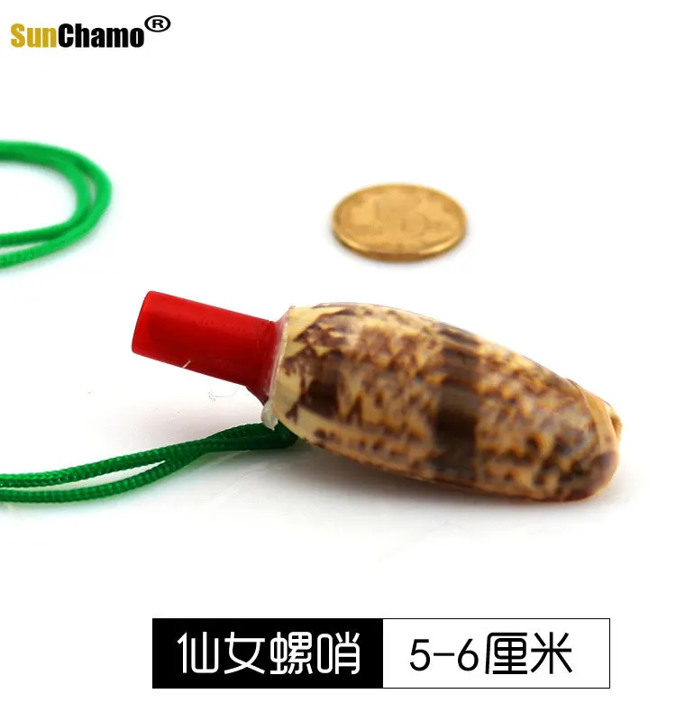 Натуральный свисток в форме раковины Small Horn оболочки характеристика самодельных