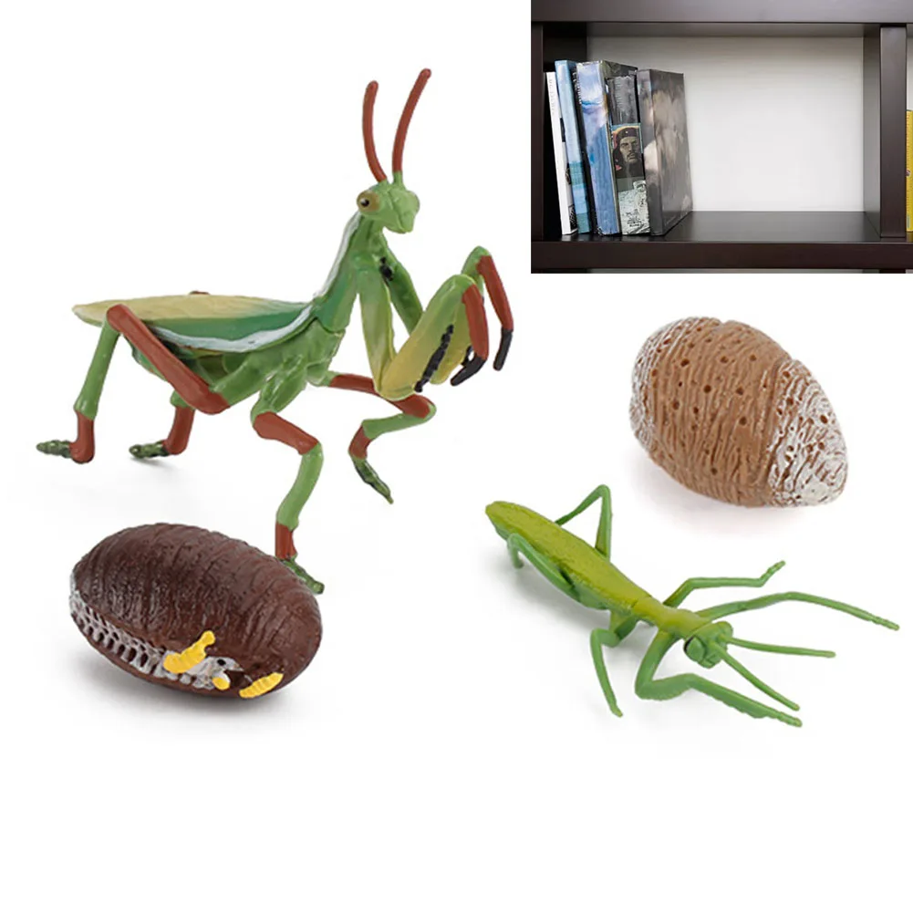

16pcs Simulation Realistic Safariology Life Cycle Multipurpose Insect Figurines Early Educational Teaching Aids Figures Toy Kit