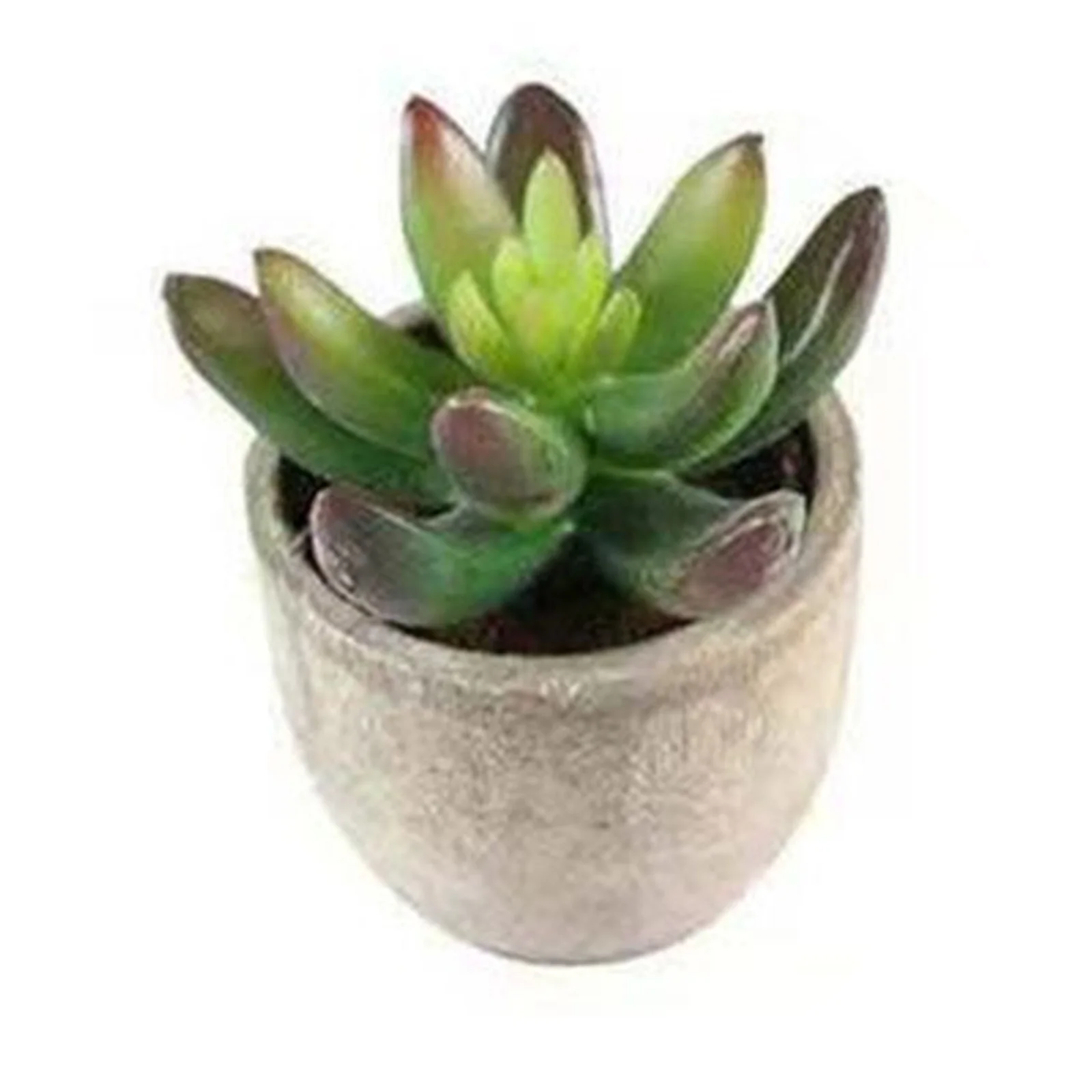 

Realistic Succulent Plants with Pots Mini Landscape Bonsai Ornaments for Home Balcony Office Decoration BOM666