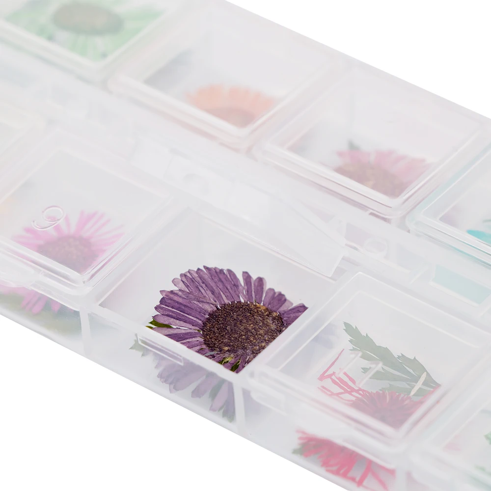 12 цветов в ассортименте натуральные высушенные цветы хризантема искусство DIY