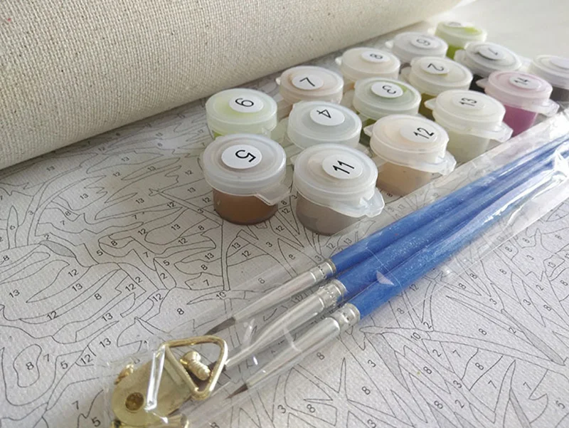 Краски ing по номерам снег Сян DIY CanvasHome настенные картины Раскраска для домашнего