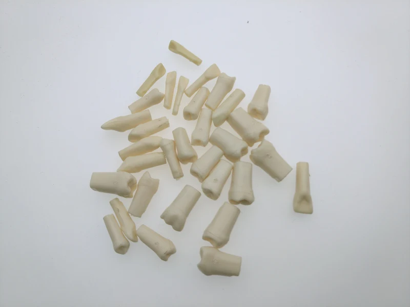 Зубные зубы 32 шт Анатомия Корона и прямой корень | Красота здоровье