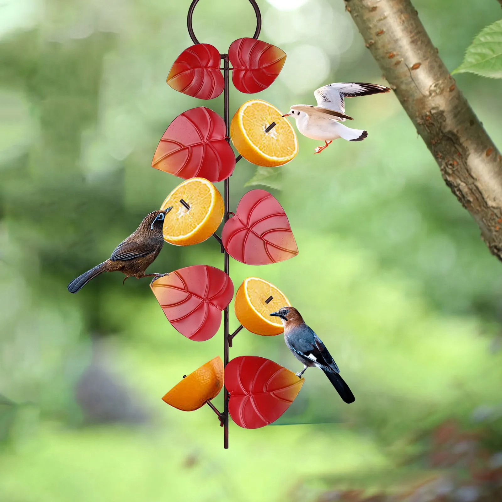 Комплект из 2 предметов маленькая птичка мандарины фрукты Фидер творчество мини