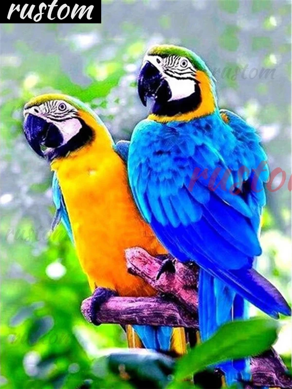 

craft Gift Rustom 5D DIY Diamond Painting Parrot Full Square Round Animal Bird Cross Stitch Diamond Embroidery Mosaic Rustom