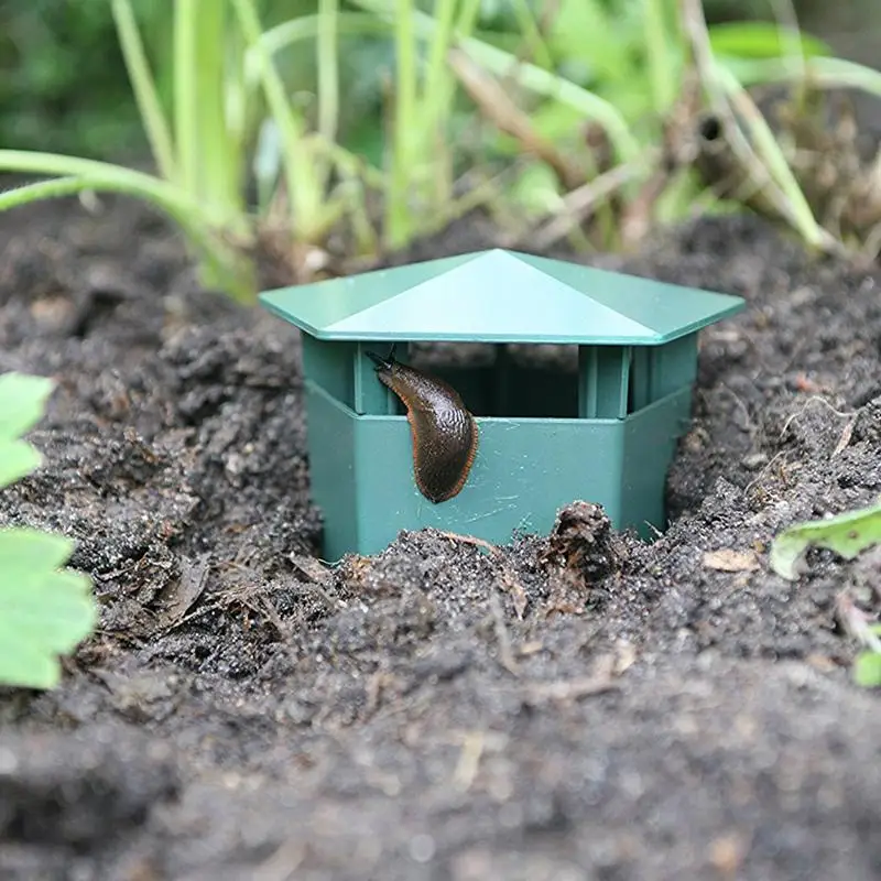 Ловушка для ногтей маленькая рыбка аквариум водный пруд пресноводная вода еда