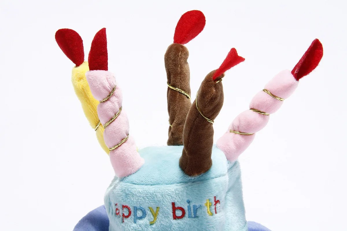 Шапочка для домашних собак на день рождения шапочка празднования дня розовый