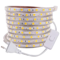 ac 220v led strip waterproof 60ledsm flexible tape ribbon smd 5050 led light strip with eu switch plug