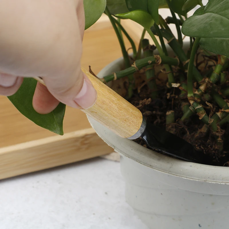 3 шт. садовые инструменты бонсай Мини маленькая лопата растение в горшке