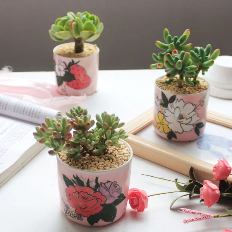 Set of 4 Hand-painting Flower Pots Floral Design Ceramic Planter Succulent Plant Mini Bonsai Home Garden Desktop Decoration | Дом и сад